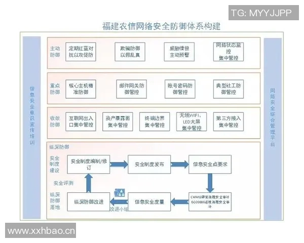 武汉排球队防守体系解析与战术应用探讨